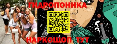 шишки Донецк