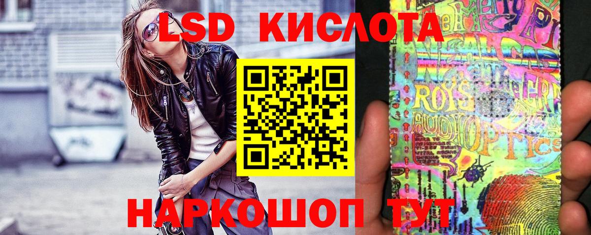 Альфа ПВП Мурманск